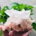 Natural Crystal Rough Natural Crystal Rough Crystal 200g-2000g Rough Natural Clear Geode Quartz Cluster Crystal Specimen Stone 1pc Suitable for Home Office Decoration (Color : 920g-1100g 1pc) - Buy Online on GoSupps.com