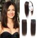 2 Pieces Dark Brown Human Hair Clip in Hair Extensions 14inch Straight Hairpiece about 25g/pc total 50g 14 Inch (Pack of 1) Dark Brown