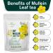 Mullein Leaf Tea - Lung Cleanse & Immune Support | 100% Natural, Caffeine-Free | 40 Tea Bags - Buy Online on GoSupps.com