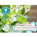 Babo Botanicals Eucalyptus Remedy Shampoo & Wash - Eucalyptus & Rosemary Oils - EWG Verified, Vegan & Cruelty-Free - 16 fl. oz - Buy Online on GoSupps.com