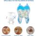 100PCS Temporary Fake Teeth - Cosmetic Veneers Dental Braces & Provisional Dentures for a Perfect Smile - Buy Online on GoSupps.com