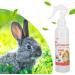Pet Odor Eliminator 220ml Rabbit Cage Stain and Odor Remover for Small Animals Hamster Rabbit Urine Feces Vomit and Drool(Honey Peach) - Buy Online on GoSupps.com