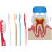 Collis Curve Soft Toothbrush - Three-Sided Design for Superior Oral Care | Shop Internationally - Buy Online on GoSupps.com