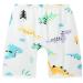 Baby Toilet Training Pants Kids 2 in 1 Waterproof Reusable Cotton Nappy Diaper Skirt Cute Cartoon Skort Pants Dinosaur Low Waist M