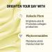 Chemist at Play Brightening Day Cream | SPF | Face Cream | Skin Brightening & Moisturisation | 30X Vitamin C with Camu Camu | Mineral Oil & Petroleum Free | Lightweight | 50g - Buy Online on GoSupps.com