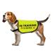 Training dog jacket vest in training Ignore dog vest dog walking slogan warning vest (in training ignorating Small) in training - small