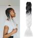 Gairyan Jumbo Braids Extensions Braid Art Hair 1 piece 100g Braiding Hair Hair extensions 60cm ombre Synthetic braids Afro Hair for Box Crochet Braids (black & white) 60 cm (1 piece) black & white