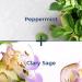 Kiss My Face De-Stress Hand & Body Lotion - Peppermint & Clary Sage - Vegan & Cruelty-Free - 16 fl oz - Buy Online on GoSupps.com