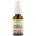 Eclectic Institute Kids Propolis Astragalus Throat Spray 1 fl oz (30 ml)