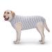YeaPeeto one-divider for dogs for relaxation for large and medium-sized dogs pajamas full body for hair loss allergies anti-licks wound protection cone alternative (XL vest gray) XL vest gray