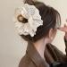 Limtula Lace Princess Large Hair Claw Clip Flower Hair Jaw Clip Balletcore Hair Catch Barrettes Hair Adornment Hair Ornamentatio Beige - Buy Online on GoSupps.com