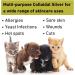 Colloidal Silver Gel for Pets - Antifungal & Antibacterial Skin Soother - Buy Online on GoSupps.com