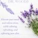 Dr. Woods Pure Relaxing Lavender Liquid Castile Soap 32oz (Pack of 2) - Natural & Nourishing Skincare Essential - Buy Online on GoSupps.com