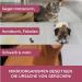 Hauszauber Enzyme Cleaner Concentrate - 1000 ml | Strong Odor Remover for Urine Cat & Dog Feces | Odor Neutralizer & Flower Magic - Buy Online on GoSupps.com