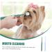 Beavorty 4 pcs for Teeth Cat Small Handheld Brush -degree Tooth Pet Puppy Cleaning Pets Clean Portable Dog 1 count (Pack of 1) Assorted Colorx2pcs - Buy Online on GoSupps.com