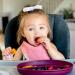 Bazzle Baby Anchor Plate | Strong Suction | BPA-Free Silicone | Divided Design | 3-36 Months | Cranberry - Buy Online on GoSupps.com