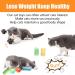 12 Pcs Cat Toys for Indoor Cats Kitten Plush Catnip Toy Cat Teeth Cleaning Toys Interactive Cat Feather Teaser Wand Spring Toy 12Pcs - Buy Online on GoSupps.com