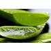 Buy BURI 4X 300ml Tabaibaloe Aloe Vera Premium Cream | Hydrating Face & Body Cream for All Skin Types - International Shipping Available - Buy Online on GoSupps.com