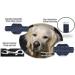 Buy Twinkys Dog Style Dogeline 15mm Rubberized Leash for Dogs up to 50kg - 1 Meter Black - Made in Germany - Buy Online on GoSupps.com