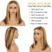 Weiqi 13x4 Highlight Bob Wig Human Hair | Ombre 4/27 Lace Front Wig for Women | Pre Plucked 12 Inch Honey Blonde HD Lace Wig - Buy Online on GoSupps.com