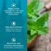 Ustraa Face Wash Mint Cool - Hydrating Cleanser for Dry Skin - 7.05 oz - International Shipping Available - Buy Online on GoSupps.com