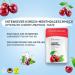 Wonder Toothpick Refill Pack | Flavorful Sugar-Free Cherry & Menthol Toothpicks | Fresh Breath & Smoking Cessation | Plastic-Free Chewing Gum Alternative - Buy Online on GoSupps.com