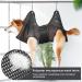 Dongker Dog Care Hammock | Breathable Pet Fur Care & Nail Trimming Harness for Cats & Dogs - Buy Online on GoSupps.com