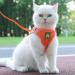 Femax Soft Mesh Dog Harness & Leash for Small & Medium Dogs | Adjustable Reflective No-Pull Vest for Puppies & Cats - Orange Size M (Breast 35-40cm) - Buy Online on GoSupps.com