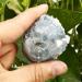 Quartz 70-100G Natural Raw Blue Celestite Crystal Quartz Cluster Geode Specimen Home Decor Crystals Crystal Cluster - Buy Online on GoSupps.com