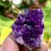 Amethyst Natural Rock Quartz Crystal Amethyst Cluster Druzy Geode Specimen Reiki (Color : 80-100g Size : 1Pc) 1Pc 80-100g - Buy Online on GoSupps.com