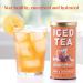 Republic of Tea Ginger Peach Black Iced Tea - 8 Large Pouches, 8 Quarts - 8 Count Pack - Buy Online on GoSupps.com