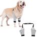 Dog Leg Brace Elbow Brace Protector Pads for Small Dogs and Cats Support Elbow Hygroma Shoulder Dysplasia Osteoarthritis and Shoulder Dislocation(M) Medium