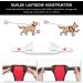 POPOT No Pull Dog Harness | Reflective Pet Vest for Daily Training & Walking | Control Handle | Red Medium - Buy Online on GoSupps.com