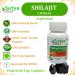 Shilajit Forte Capsules 500 mg. 60 Veg. Capsule | Shilajit (Asphaltum) Extract Capsules for Men and Women | Ayurvedic Herbal Supplement/Remedies | 10:1 Forte (2 Bottles of 60 Capsules) 120 Count (Pack of 1) - Buy Online on GoSupps.com