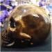 Natural Stones Natural Crystal 67 mm Natural Crystal Skull Gemstone Ghost Head Carved Crystal Jewelry Tiger Eye Stone Specimen Carved Skull Gift Power Stone Crystal Natural Stones ningxiao - Buy Online on GoSupps.com