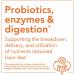 Now Foods Extra Strength Berry Dophilus - 50 Chewable Probiotic Tablets for Digestive Health - Buy Online on GoSupps.com
