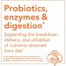 NOW OralBiotic Lozenges 60 Count - Adults & Children, Strain Verified - Buy Online on GoSupps.com
