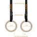 5BILLION Wooden Gymnastic Rings with Adjustable Straps - 2x15ft Wood Gym Rings for Home Gym Full Body Workout - Quick Install Cam Buckle - 1500lbs Supported - Black (32mm) - Buy Online on GoSupps.com