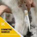 Dream REACH 8 Ergonomic Dog Fur Scissors - 440C Stainless Steel & Adjustable Screw - Professional Pet Grooming Tool for Dogs & Cats - Buy Online on GoSupps.com