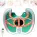 HSRG Beck Corrector instrument for repairing pelvic floor muscles instrument for restoration after birth relief of female urinary incontinence