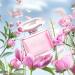 Glowing Crystal Eau De Parfum for Women 3.4 fl oz Natural Spray - Long Lasting Enchanting Fragrance - Natural Sweet Freshness. Ideal for gift on special occasions Birthdays Holidays Anniversary. - Buy Online on GoSupps.com