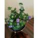 Grace Fruit Bowl Fruit Bowl Large Capacity Iron Fruit Plates Modern Durable Kitchen Countertop Fruit Basket for Wedding Party Home Practical - Buy Online on GoSupps.com