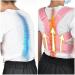 Back Posture Corrector & Adjustable Shoulder Brace | Breathable Back Support Belt - JoJo's Bizarre Adventure - Buy Online on GoSupps.com