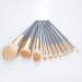 Buy 10 Shadow Tools Eye Brush Powder Set & Quartz Roller - Premium Makeup Beauty Tools for Flawless Application | International Shipping Available - Buy Online on GoSupps.com