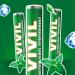 Buy Vivil Roll Natural Peppermint Pastilles - 30 Rolls Gluten-Free & Vegan Fresh Taste - International Shipping Available - Buy Online on GoSupps.com