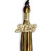 Endea Graduation Mixed Double Color Tassel with Gold Date Drop - Black/Gold 2023 - Buy Online on GoSupps.com