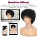 Plecare Afro Wigs: 100% Human Hair, Glueless Short Kinky Curly Wigs - Perfect for Cosplay or Daily Wear (Natural Black) - Buy Online on GoSupps.com