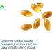 Nutra BioGenesis Oregano Oil Capsules - Respiratory and Digestive Support (120 Count) - Buy Online on GoSupps.com