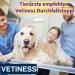 Vetiness Diarrhea Paste 15ml for Dogs & Cats | Acute Diarrhea Relief | Probiotics for Dogs & Cats under 15kg | Supports Diarrhea & Vomiting - Buy Online on GoSupps.com