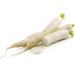 Fresh Mulli Vegetable | 2Pieces | Radish | 100% Fresh Vegetable | Indian Origin Next Day Shipping By Seelans - Buy Online on GoSupps.com